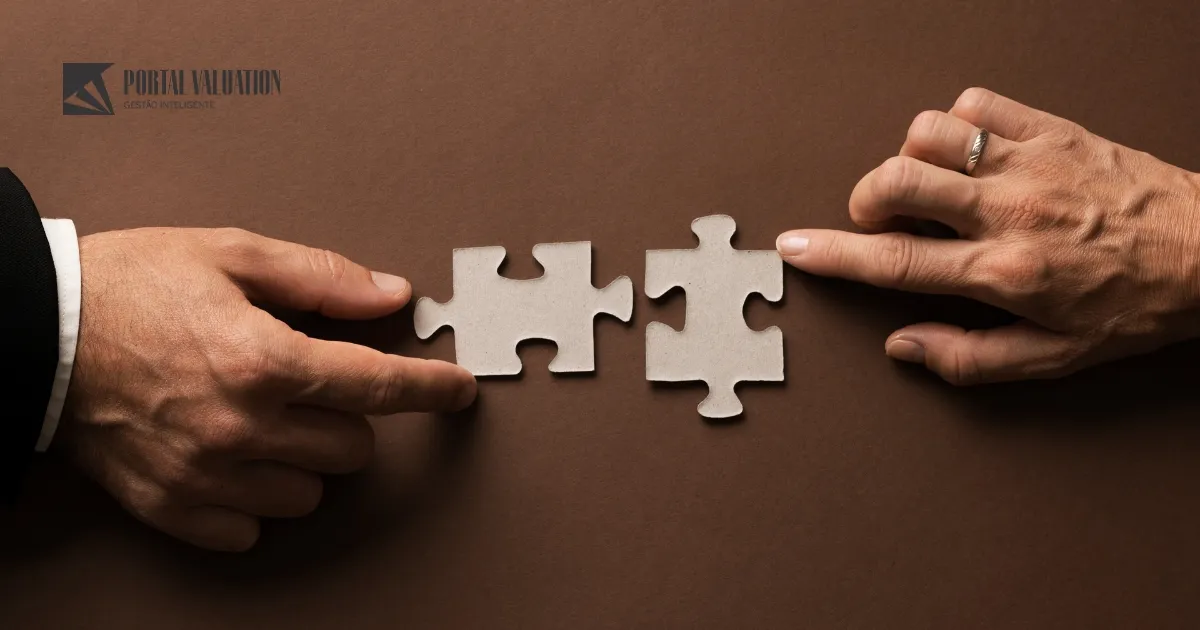 identificacao-de-sinergias